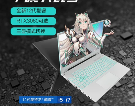 咨询优惠券华硕天选3 第12代英特尔酷睿i...