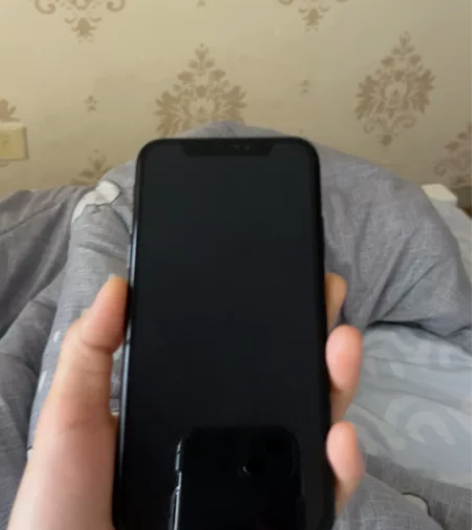 Apple/苹果 iPhone X 国行...
