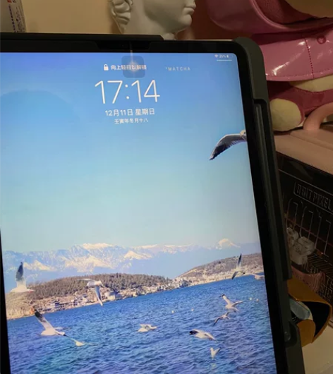 ipad pro 2021 深空灰色 11...