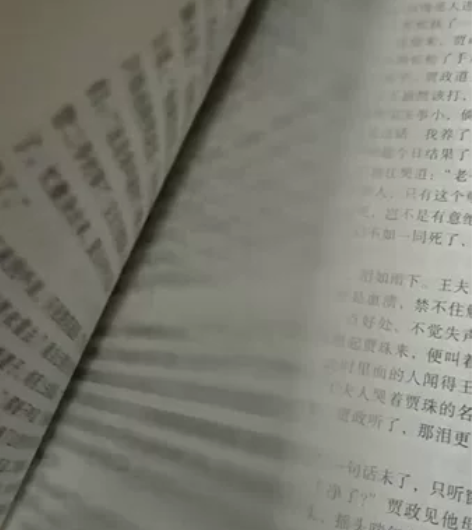 红楼梦 九成新，侧面有一点污点 ，文言文版...