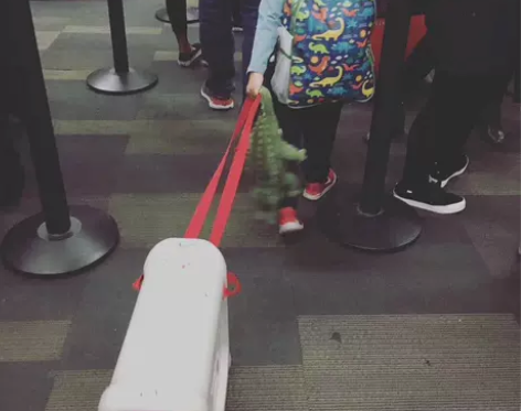 other/其他 旅行箱 感兴趣的话点“我...