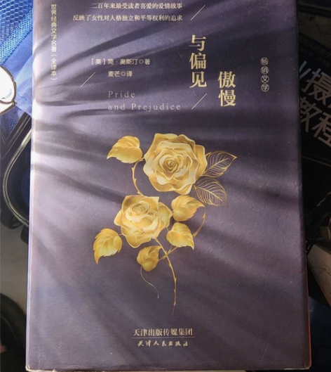 文学书籍-傲慢与偏见,几乎全新,标价32 ...