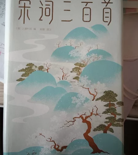 宋词三百首;原价99.8;学校要求统一买的...