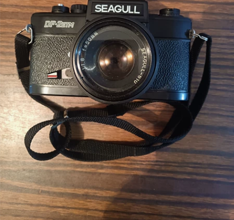 SEAGULL海鸥相机DF-2ETM,机器...