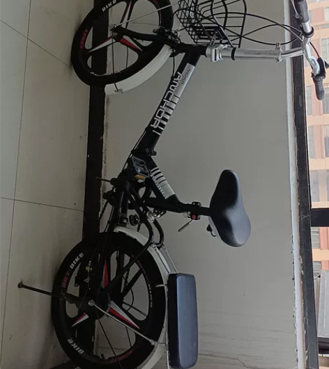 折叠自行车,没骑几次FLYING PIJE...