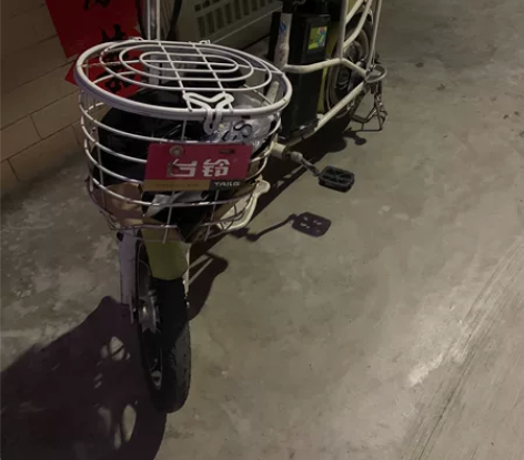 台铃电动自行车 电动车已使用一年有多。铅酸...