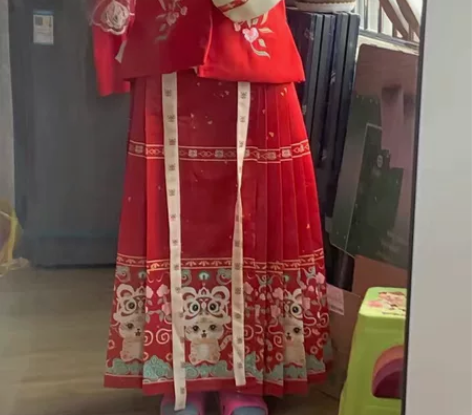 茗月萱【如意】汉服女明制比甲立领马面裙拜年...
