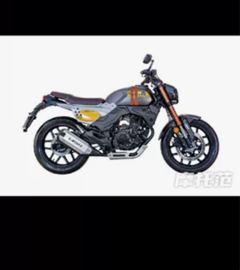 2019款力帆牌 KPM200摩托车 咖啡...