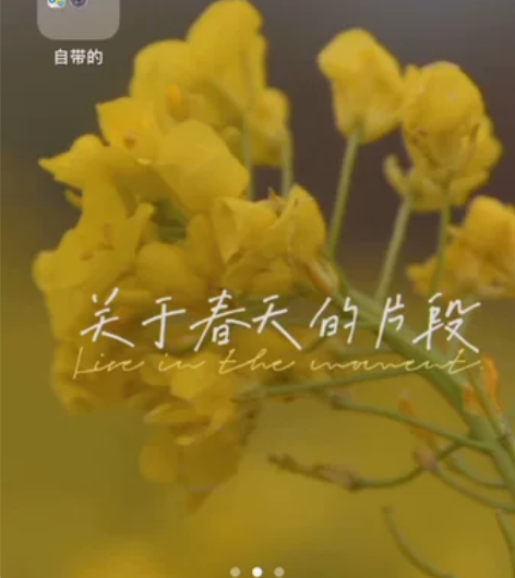 苹果8，国行，黑色，自用，正常使用没问题。...