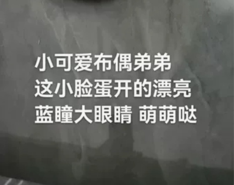 小可爱布偶弟弟，自家猫咪下的崽崽 这小脸蛋...