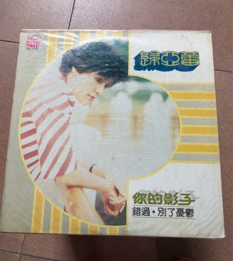 归亚蕾黑胶唱片巜你的影子》,98新,东尼机...
