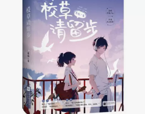 校草请留步 夏栀作品江川往事 花火青春校园...