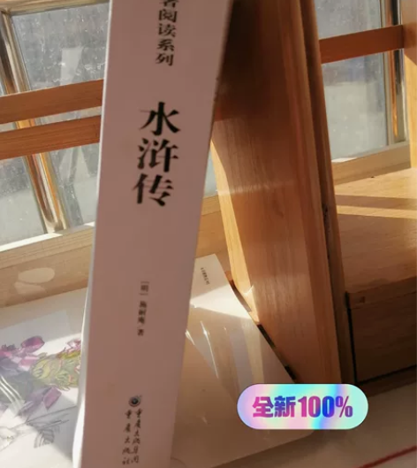 《水浒传》孩子初三买的，没看过，现在升入高...