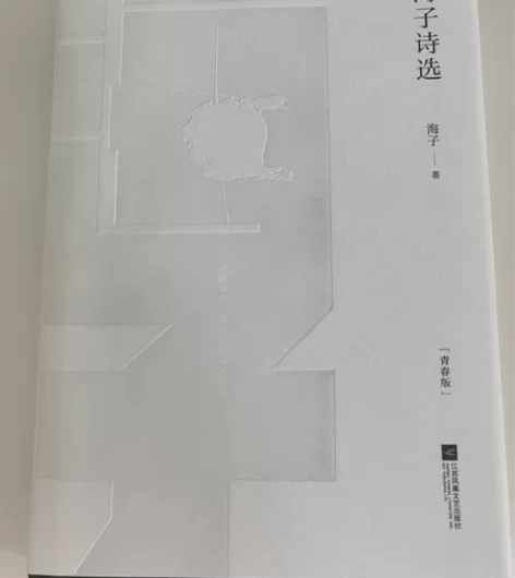 正版《海子诗选（青春版）》，八成新，无折痕...