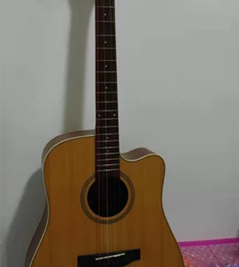 Dove吉他/ 鸽子吉他 可买来练手,琴箱...