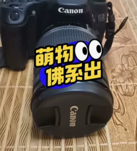 自用佳能70d单反套机.18-200焦段镜...