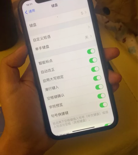 苹果11 国行 本来是64g 扩容到了12...