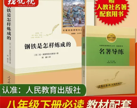钢铁是怎样炼成的(人民教育出版社)(8年