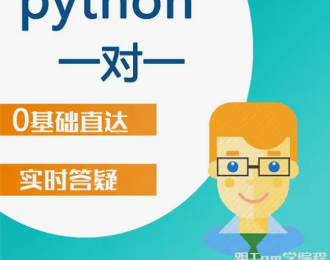 python编程培训一对一辅导项目人工智