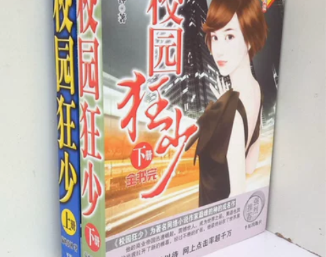 包邮 黑道小说校园狂少2册 全集 合订本 ...
