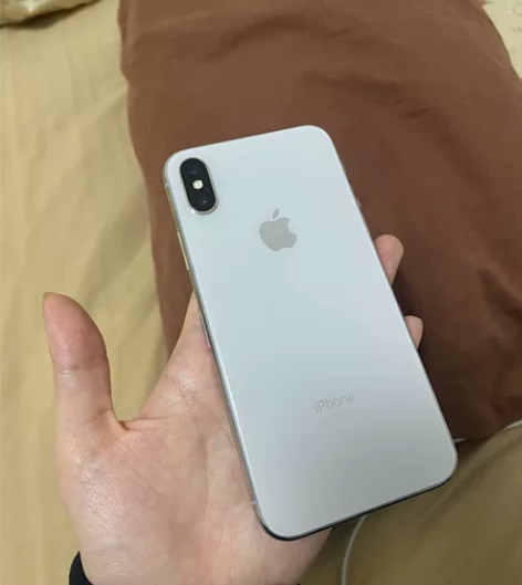 苹果iPhone x |白色 256g 国...