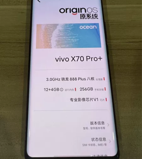 vivo x70 pro+   运行内存1...