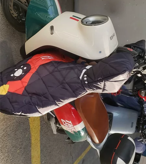 台铃绿牌电动 22年三四月份买的 夏...