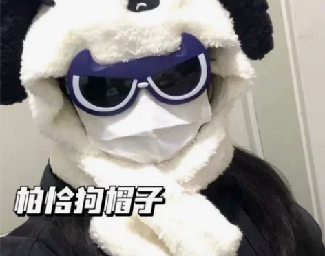 小红书同款高颜值日系软妹帕恰狗毛绒帽可爱甜...