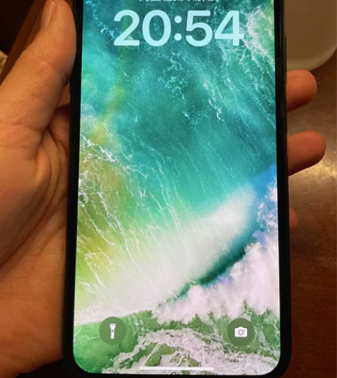 iphonex 256g 自用 保护的很好...