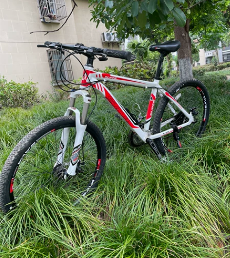 转闲置SAVA萨瓦M-1山地车24速一台,...