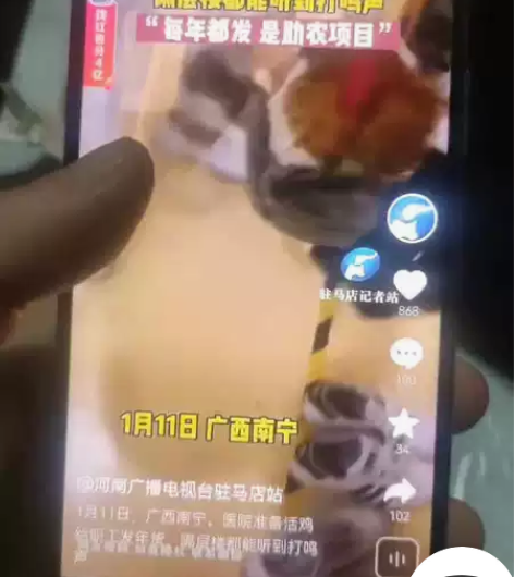 华为nova6(5G)8128G,现在就侧...