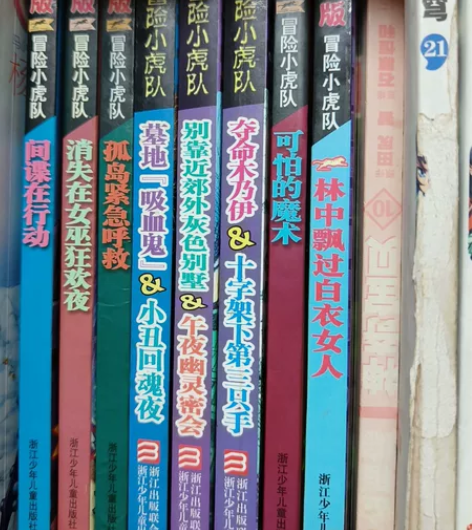冒险小虎队 惊悚悬疑小说 感兴趣的话点“我...