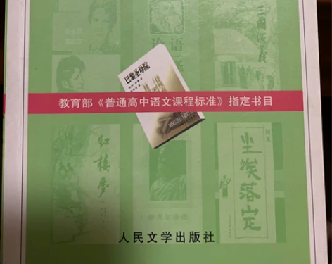 巴黎圣母院//语文新课标必读丛书巴黎圣母院...