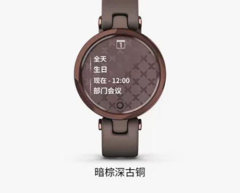 【Garmin】佳明Lily女生智能运动手...
