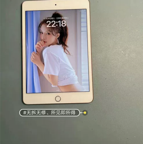 苹果平板iPad mini5、国行64G、...