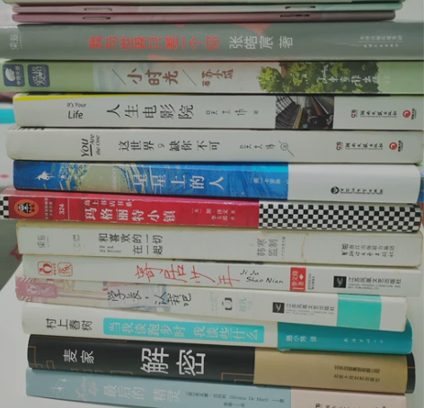 图书课外书经典小说言情青春文学外国文学 ...