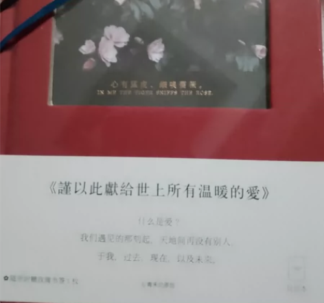 日记本,红色没拆15,蓝色拆了10 两本一...