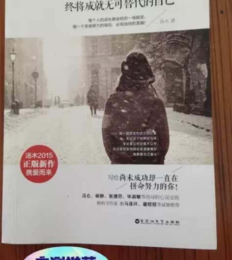 书籍《你的努力,终将成就无可替代的自己》百...