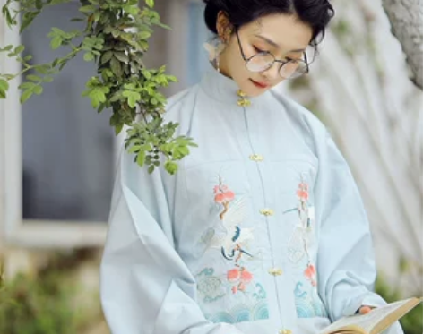兰若庭汉服 望水云鹤 明制 立领 补服 暗...