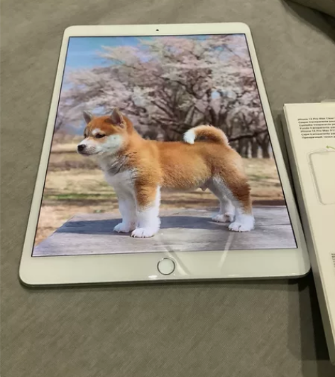 2019款iPad Air3 WiFi版 ...