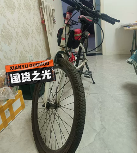 闲置山地自行车，使用2个多月，初中小孩上学...