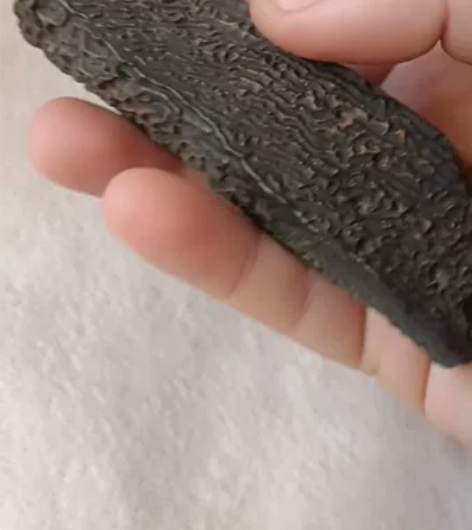 原石名称:  皱纹泥石(无字天书石）【满6...