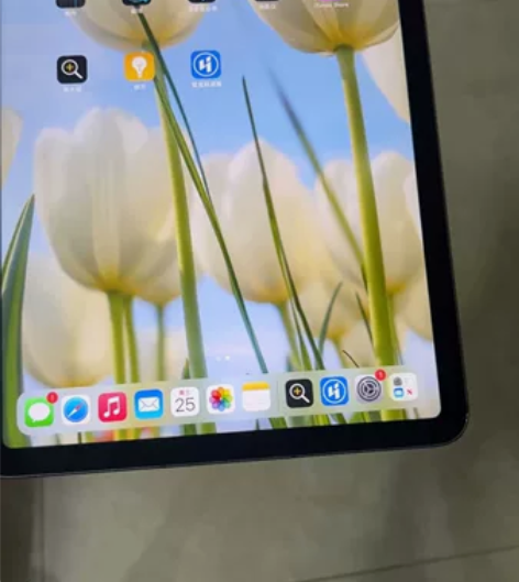 2020款 iPad Air4代 10....