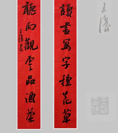 王涛   十二届十届九届国展获奖实力派书法...