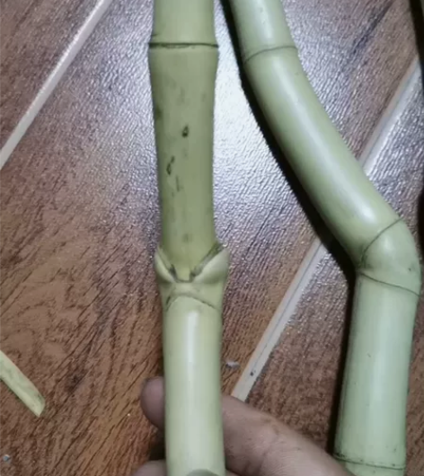 三段小异形竹料谢绝还价,谢绝还价,谢绝还价...