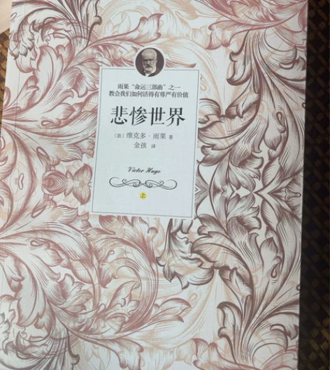 悲惨世界 当当购入，可分开上下册购买 几乎...