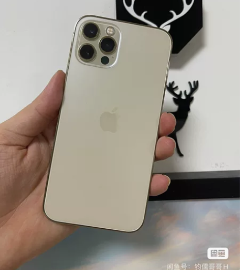Apple/苹果 iPhone 12 Pr...