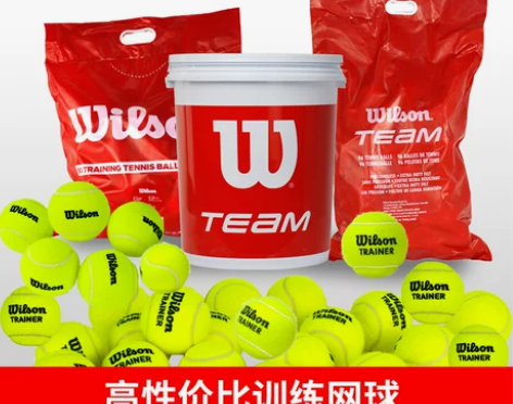 正品wilson威尔胜网球训练球无压练习球...