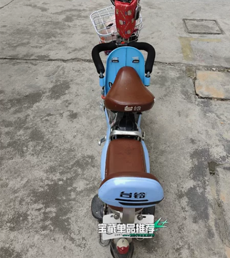 台铃电动自行车,这颜色男女老少都合适,有发...