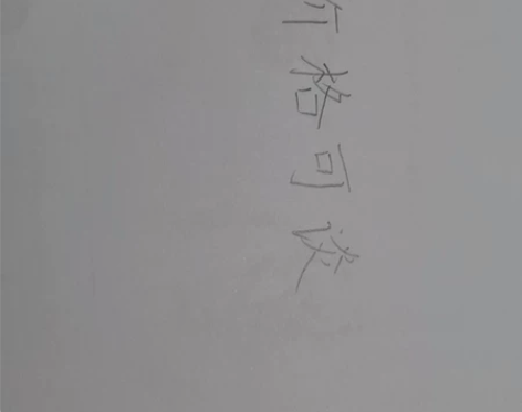 漳州芗城区  龙文区  高新区小学全科和初...